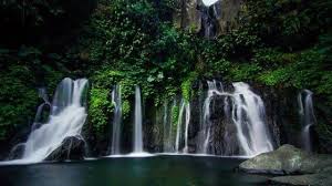 Malang night paradise adalah salah satu tempat wisata populer di malang yang justru buka di malam hari yaitu dari jam 17.00 sampai 23.00 wib. 8 Spot Tempat Wisata Air Terjun Murah Meriah Di Malang Enggak Bikin Kantong Bolong Lifestyle Liputan6 Com