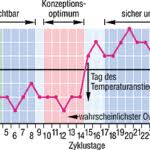 Wann und wie zeigt sich der eisprung? Basaltemperatur Zum Schwangerwerden