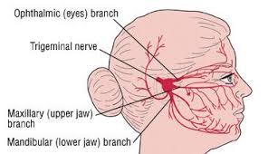 Pin On Neuropathy