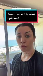 Why Bonsai Trees Are Expensive