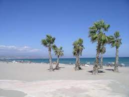 To visit playa san juan and get the most from your holiday in guia de isora, create itinerary details personal to you using our guia de isora trip itinerary planner. Playa San Juan Bild Von San Juan De Alicante Costa Blanca Tripadvisor