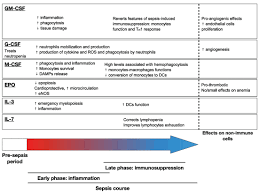 You've made your search and found tons of sergio soldi male tube for your pleasure. Frontiers Is There A Role For Hematopoietic Growth Factors During Sepsis Immunology
