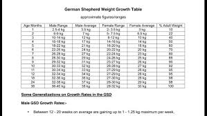 Puppy Weight German Shepherds Forum