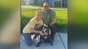 Live coral, reef tank equipment and supplies. Shelter Dog Finds Forever Home After Being Up For Adoption For 667 Days At Spcala Abc7 Los Angeles