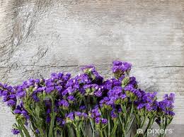 Image result for Limonium sinuatum