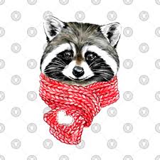 Cute Raccoon