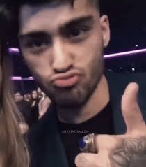 Zara Malik Edit Elavator