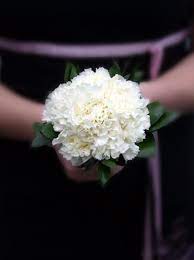 An order of carnation wedding bouquets usually includes not only a small bouquet of a bride, but also a boutonniere from the same collection, which makes the image of newlyweds uniform, flowers in a girls hairdress. Wedding Carnations Arrangements Bouquets Budget Flowers