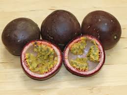 Maracuja und passionsfrucht gehören beide zur gattung der passionsblumen. Passionsfrucht Maracuja Passiflora Edulis Baumschule Horstmann