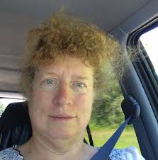 Training a young mustang with liberty work