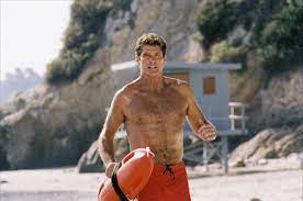 Kickstarter sensation kung fury ready to #takehoff as 80's icon david hasselhoff performs the lead track 'true survivor'. David Hasselhoff Tells Judge He Has Less Than 4 000 In The Bank The Independent The Independent
