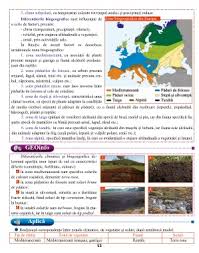• sunt vesnic verzi, dese cu arbori dispusi pe etaje. Page 53 Geografie Cl6