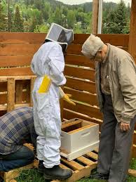 The hive uses artificial honeycombs; B C Teen Heartbroken After Thieves Poison His Beehive Victoria News