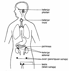 Syair bidasari ini merupakan syair yang terdapat dalam komsas bahasa melayu tingkatan 4 hasil karya jamilah hj ahmad. Https Gurubesar My Wp Content Uploads 2018 10 53718 Pdf