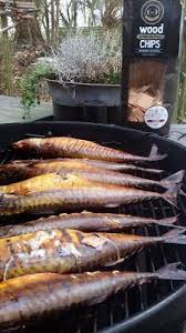 Pin Auf Grill