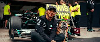 Hamilton's long covid concern after f1 champ helped on to podium. Lewis Hamilton Knighted In 2020 New Year S Honourslewis Hamilton Wird Mit Der Neujahrs Ehrenliste 2020 Zum Ritter Geschlagen