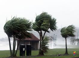 A gale is a very strong wind. Define Gale Gale Meaning Gale Examples Gale Synonyms Gale Images Gale Vernacular Gale Usage Gale Rootwords Smartvocab