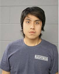 ᐅ Illinois Criminal Records 2009-2025