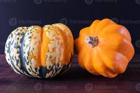 Image result for carnival acorn squash