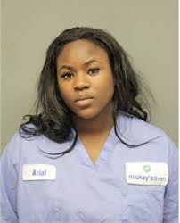 ᐅ Illinois Criminal Records 2009-2025