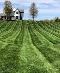 Lawn care, like many other home maintenance tasks, calls for proper preparation and planning if you're to have an enviable lawn throughout the year. Lawn Care Maintenance Services Weed Control Snow Plowing