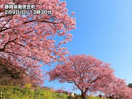 汉中 合川 化州 黄山 海阳 海门 海城 惠阳 海宁 惠东 河口 华容 哈密 华阴 侯马 河津 霍州 黄骅 海林 海盐 海东 淮阳区 汉阴 含山 和县 户县 辉县 怀仁市 滑县 惠安 韩. ä¸€è¶³å…ˆã«æ˜¥ã®ä¾¿ã‚Š æ²³æ´¥æ¡œãŒè¦‹é ƒã« é™å²¡ ä¼Šè±† ã‚¦ã‚§ã‚¶ãƒ¼ãƒ‹ãƒ¥ãƒ¼ã‚¹