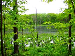 Chain o'lakes state park, located in northeast illinois in both mchenry and lake counties, became a state park in 1945 when the state of illinois made an initial purchase of 840 acres. Mossy Feet Books Sample Chapter A Visit To Chain O Lakes State Park Chain O Lakes State Park History