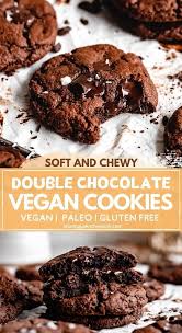 Vegan Double Chocolate Chip Cookies Shuangy S Kitchensink Recipe Vegan Cookies Recipes Healthy Chocolate Recipes Vegan Cookies
