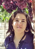 VitisGen Students and Staff: Where are they now?