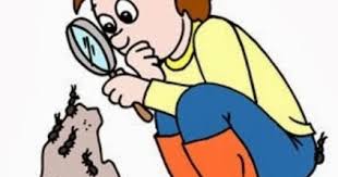 Adalah mengoreksi kembari kebenaran dari hasil penelitian lain. Jenis Jenis Penelitian Dan Contohnya Lengkap Website Pendidikan
