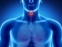 Seeking medical attention for early symptoms is the best way to even though symptoms are often absent in the earliest stages of thyroid cancer, a lump or nodule in the neck is one of the initial signs. Thyroid Cancer Symptoms