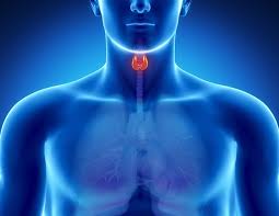 Many people with thyroid cancer do not have symptoms. Thyroid Cancer Symptoms