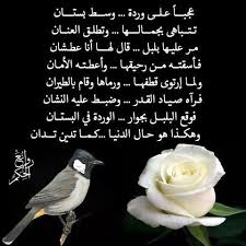 Pin By فلسطينية ولي الفخر On روائع الحكم Qoutes Let It Be