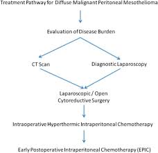 Maybe you would like to learn more about one of these? Diffuse Malignant Peritoneal Mesothelioma An Update On Treatment Cancer Treatment Reviews