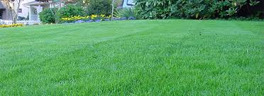Which brand has the largest assortment of organic lawn care at the home depot. Pin On Organic Lawn Care
