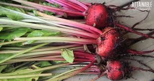 Check spelling or type a new query. 10 Ways To Eat Fresh Beet Greens And Love Them