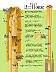 Hope My Sis And I Can Build This I Would Love To Attract Bats To My Neighbourhood Bats Do Us A Great Service By E Build A Bat House Bat House