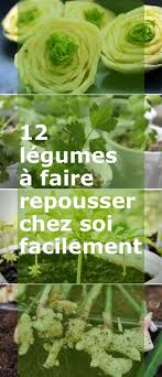 12 Legumes A Faire Repousser A La Maison Gardena Culture Des Legumes Planter Des Radis Repousser Les Legumes