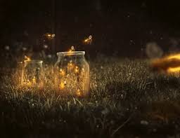 نتیجه جستجوی لغت [fireflies] در گوگل