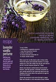 Lavender Perfume Recipe Vanilla Perfume Lavender Perfume Dried Lavender Flowers