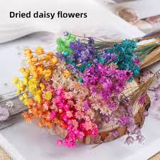 Maybe you would like to learn more about one of these? Top 8 Most Popular Mini Natural Dried Flowers Near Me And Get Free Shipping A681