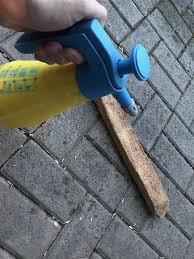 Pin Auf Holzkafer Bekampfen