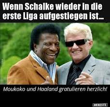 Die 354 besten bilder von schalke in 2020 schalke schalke 04. 41 Lustige Bilder Schalke Schalke Lustig Debeste
