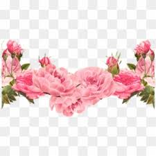 Check spelling or type a new query. Flowers Borders Clipart Divider Pink Flower Border Transparent Hd Png Download 640x480 5904708 Pngfind