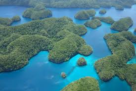 Palau paradise (oceania) vacation travel wild video guide. Palau Tropical Moist Forests Wikipedia