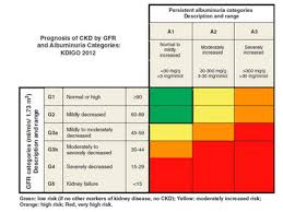 Allgemeine Nephrologie Medizinische Klinik Mit Schwerpunkt Nephrologie Und Internistische Intensivmedizin Charite Universitatsmedizin Berlin