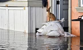 Seawater flooding streets and homes in Newport Beach during an extreme high tide