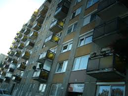 Całą karierę grał w vasas sc , gdzie działał jako środkowy obrońca. Elarverezik A Lakasat Utcara Kerulhet Meszoly Kalman Unokaja Blikk