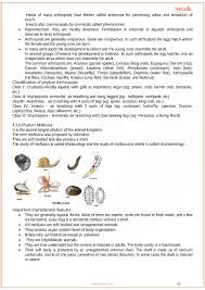 cbse class 11 biology chapter 4 animal kingdom revision notes