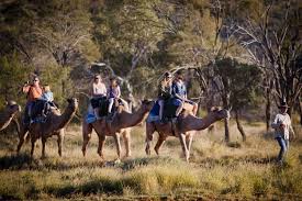 But no sooner had he said it than he saw his back, that he was so proud of, puffing up and puffing up and from that day to this the camel always wears a humph (we call it 'hump' now, not to hurt his feelings); Camel Ride Alice Springs 89 Free Shuttle Alice S Secret Travellers Inn